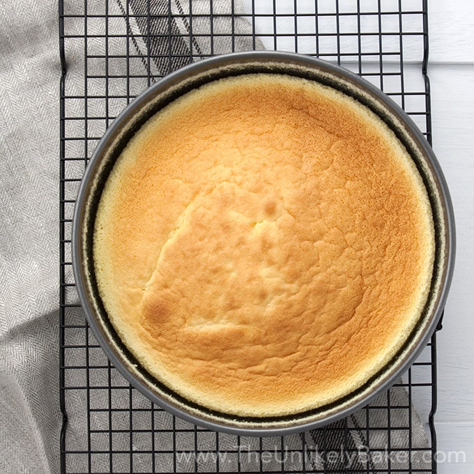 Japanese Cheesecake Fresh From Oven2