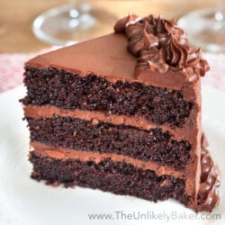 The Best Ever Chocolate Cake with Chocolate Fudge Frosting