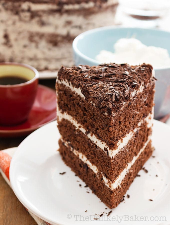 A slice of chocolate chiffon cake with whipped cream frosting on a plate.