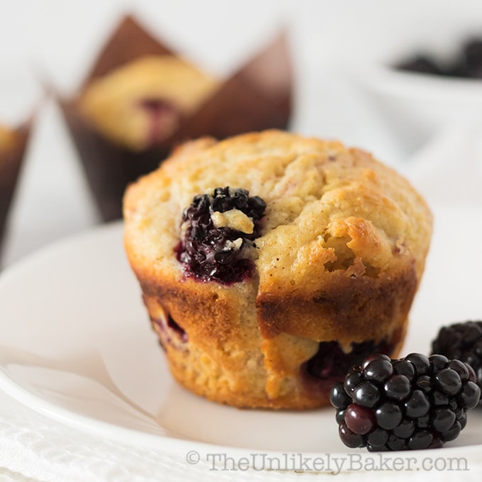 White Chocolate Blackberry Muffins