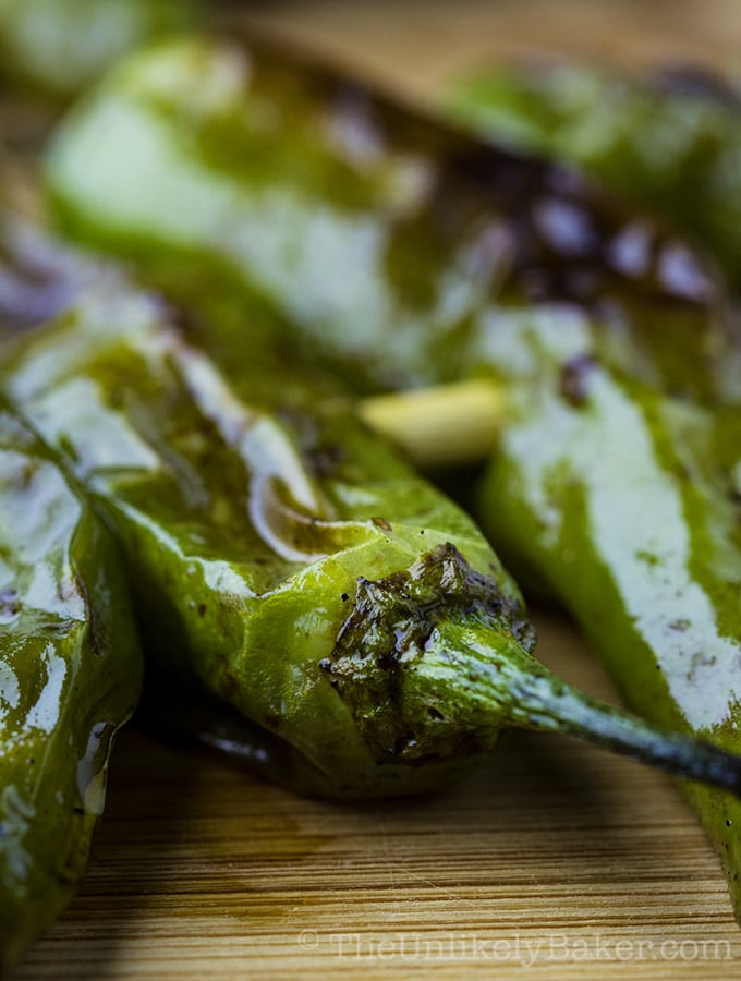 Grilled Shishito Peppers