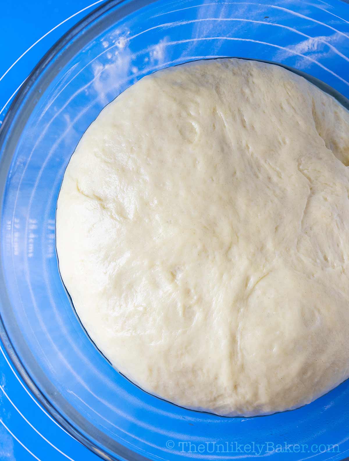 Bread dough risen to twice its size.