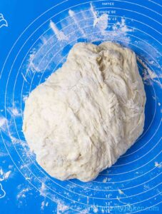 transfer dough to a lightly floured surface
