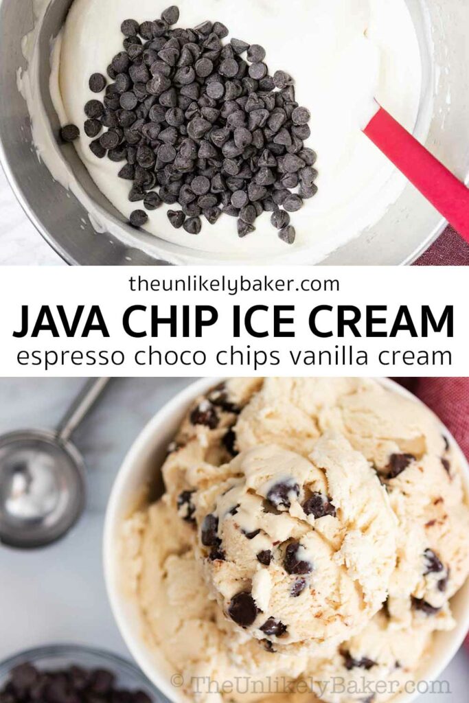 Coffee Chocolate Chip Ice Cream Recipe