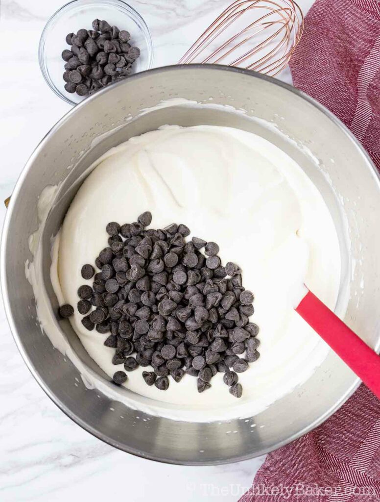 Coffee ice cream mixture with chocolate chips