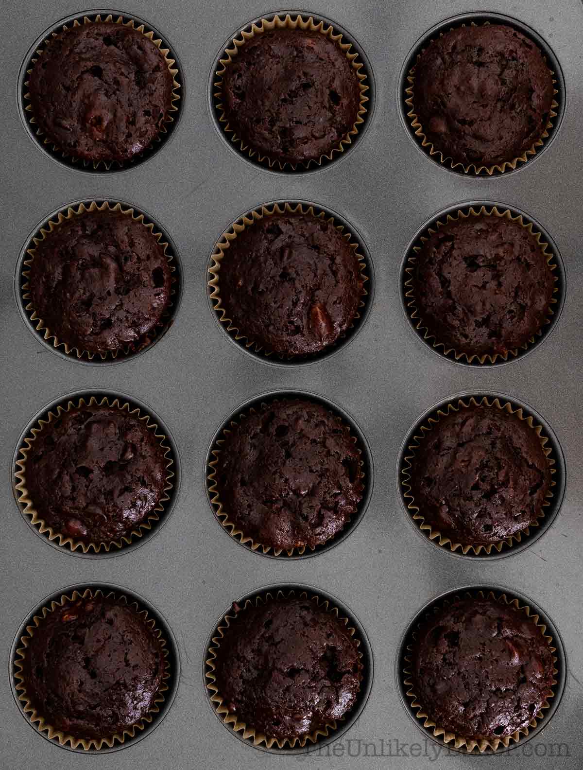 Freshly baked chocolate ricotta muffins