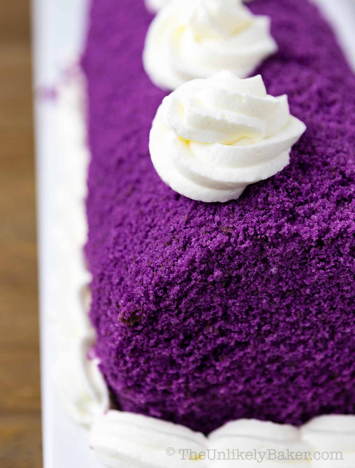 Freshly baked ube roll cake with whipped cream cheese frosting.