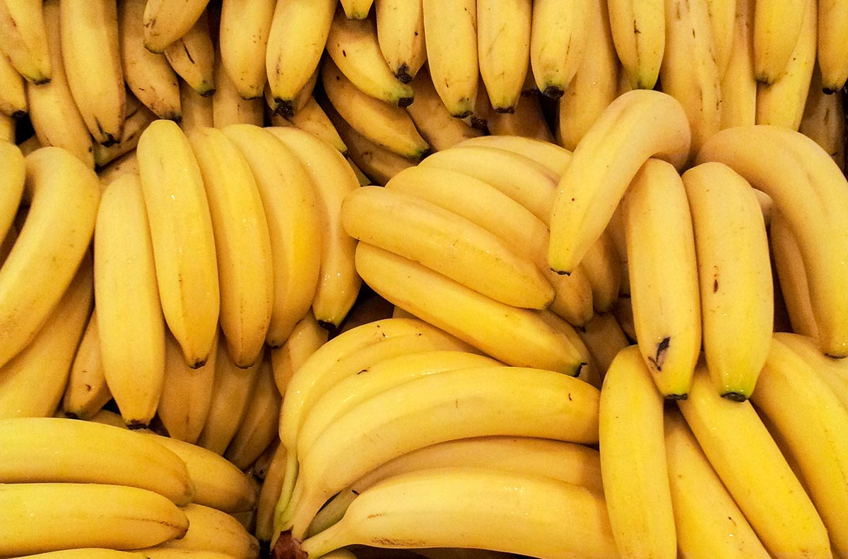Several bunches of bananas.