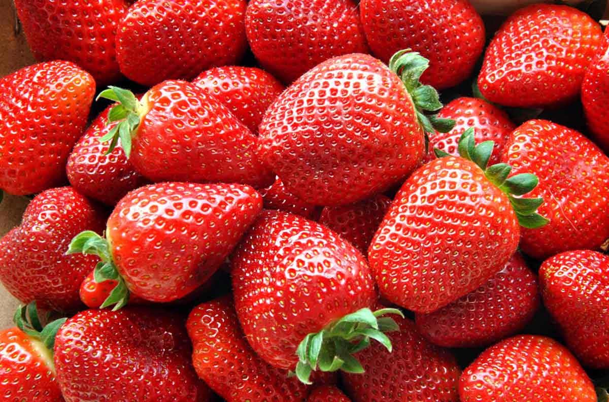 Fresh juicy strawberries.