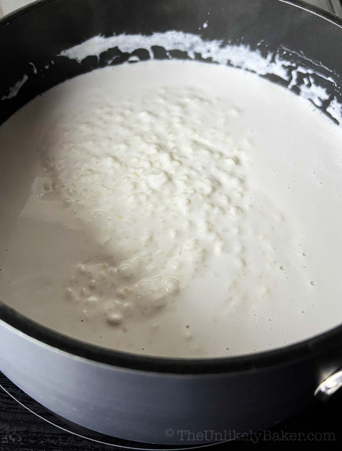Sticky rice and coconut milk in a saucepan.