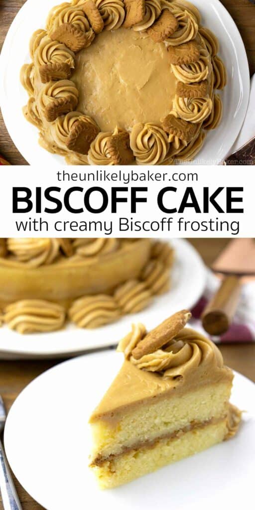 Pin for Easy Biscoff Cake Recipe.