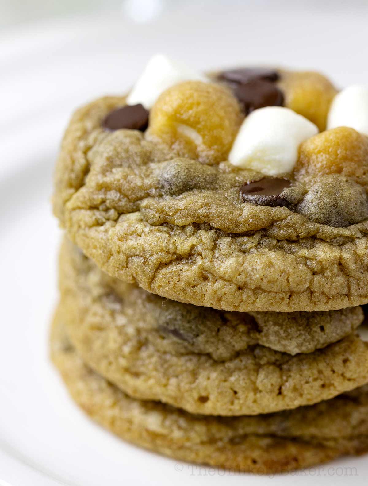 Closeup shot of marshmallow in cookies.