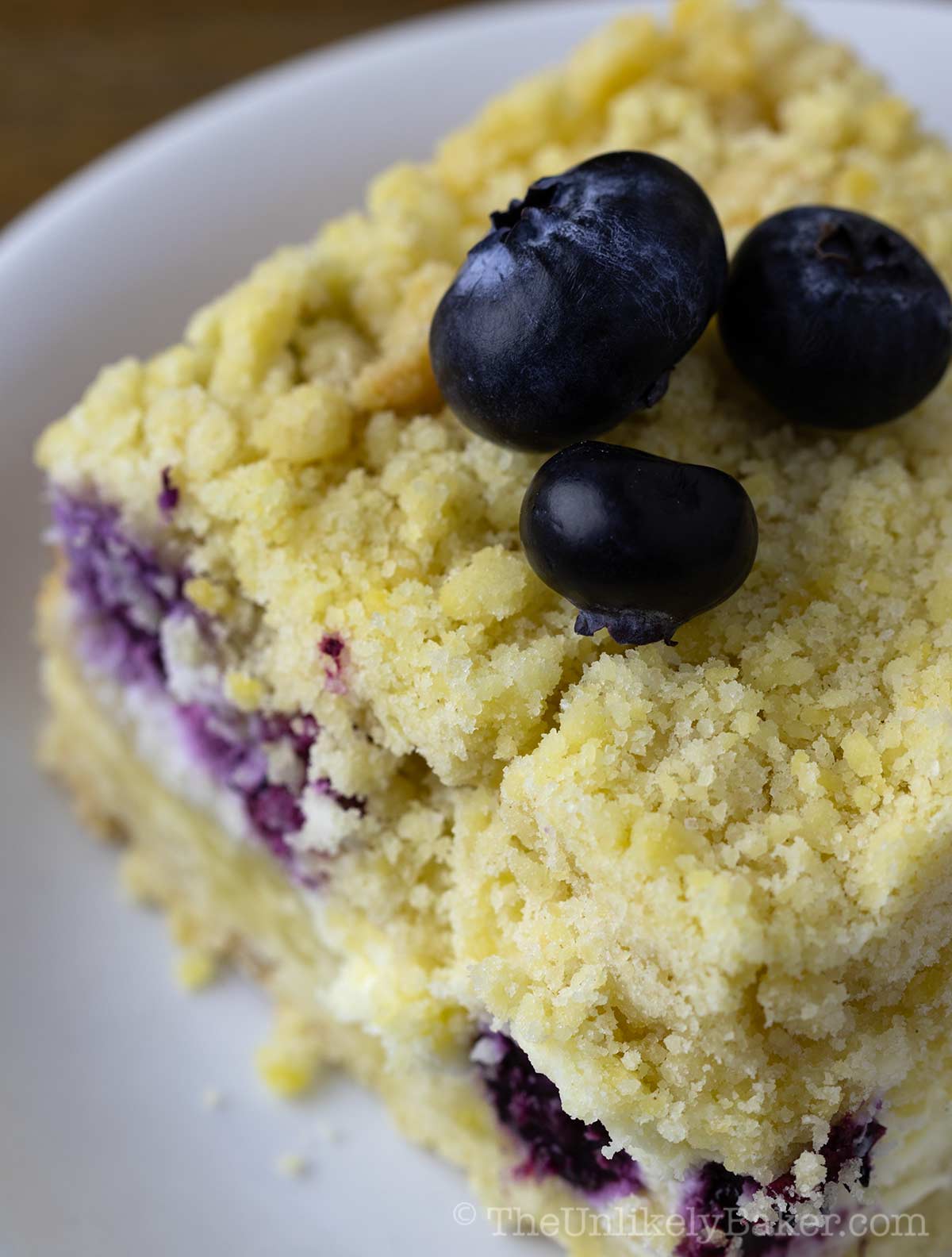 Close up shot of blueberry cream cheese crumb bars to show texture.