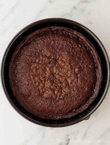 Freshly baked chocolate cake in a pan.
