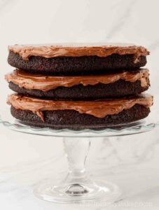 Chocolate fudge frosting in between cake layers.