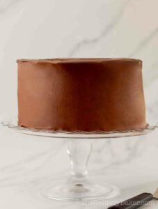 Chocolate cake with crumb coat.