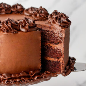 Chocolate overload cake with chocolate fudge frosting.