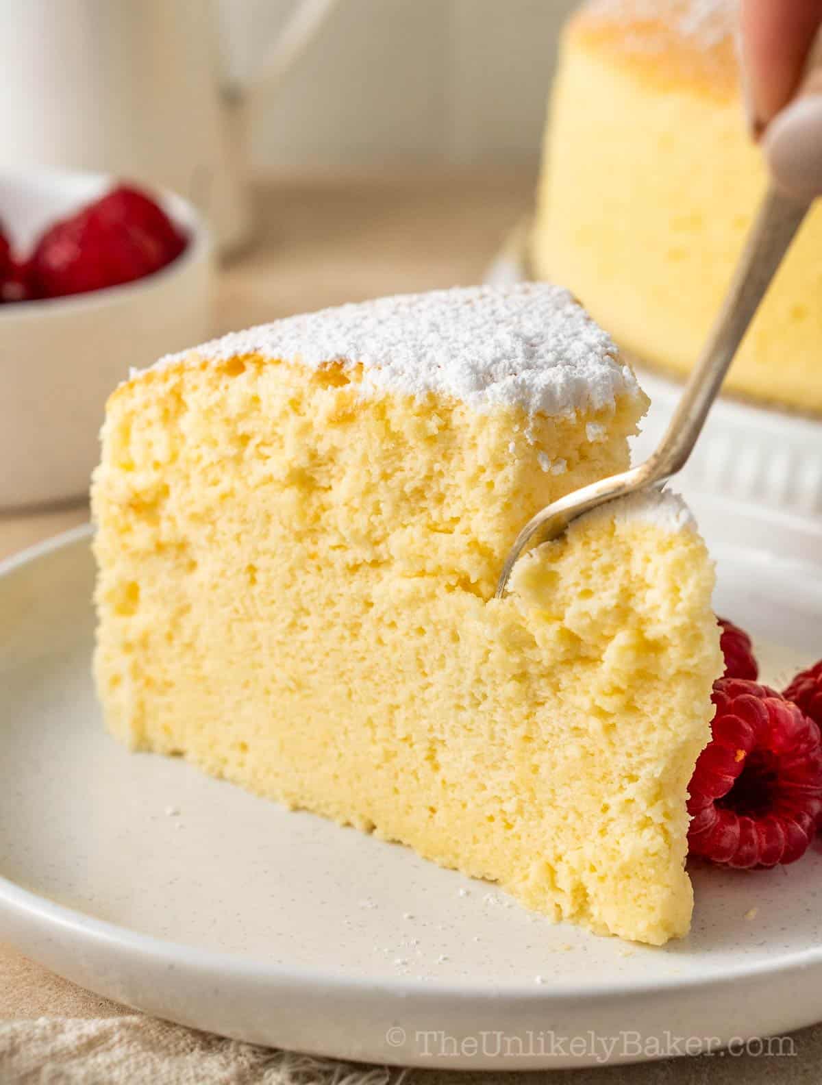 A slice of Japanese cotton cake.