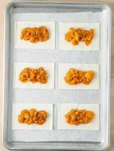 Fruit filling scooped onto pie crust.