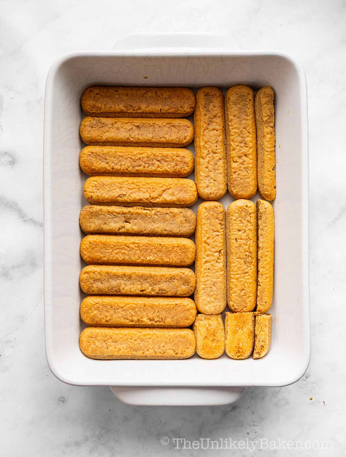 Single layer of ladyfinger biscuits.